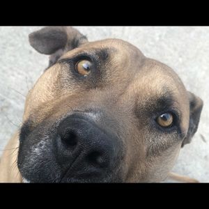 Meet your Posher, Imani